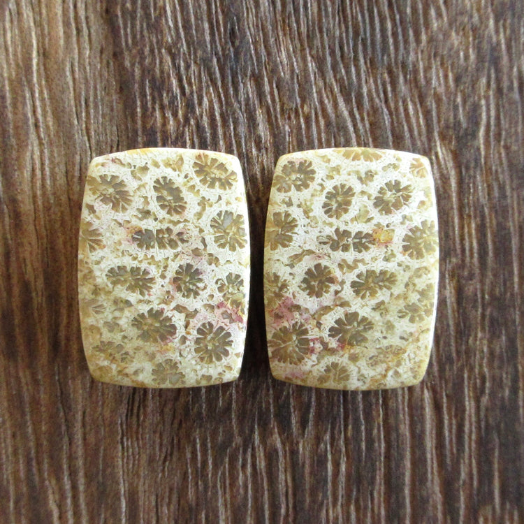 フォッシルコーラル　天然石ルースペア