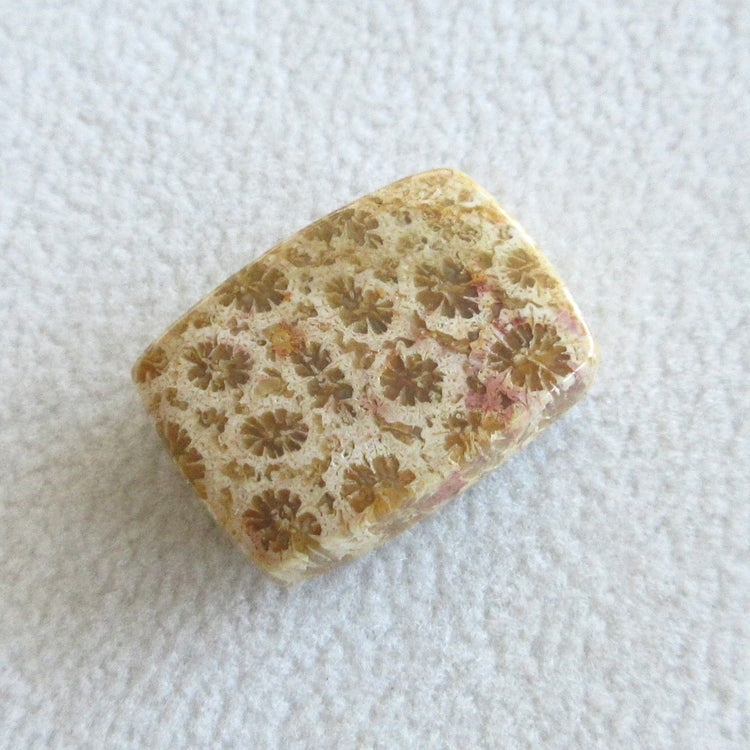 フォッシルコーラル　天然石ルースペア