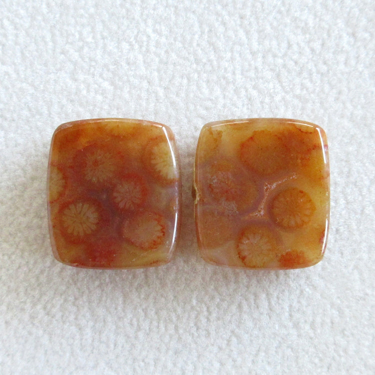 フォッシルコーラル　天然石ルースペア