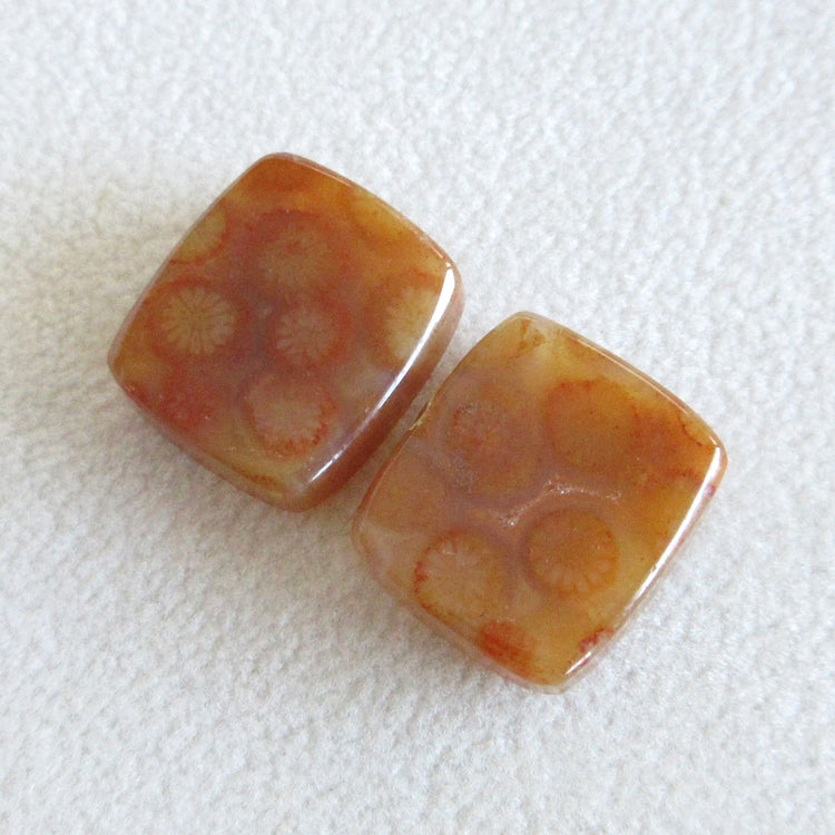 フォッシルコーラル　天然石ルースペア