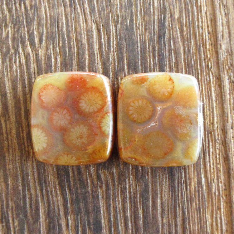 フォッシルコーラル　天然石ルースペア