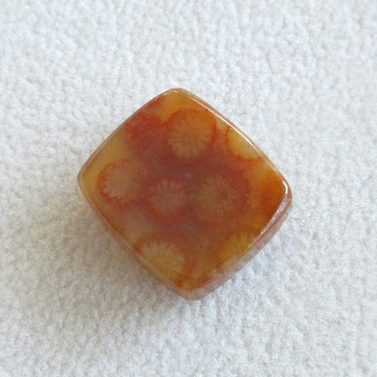 フォッシルコーラル　天然石ルースペア