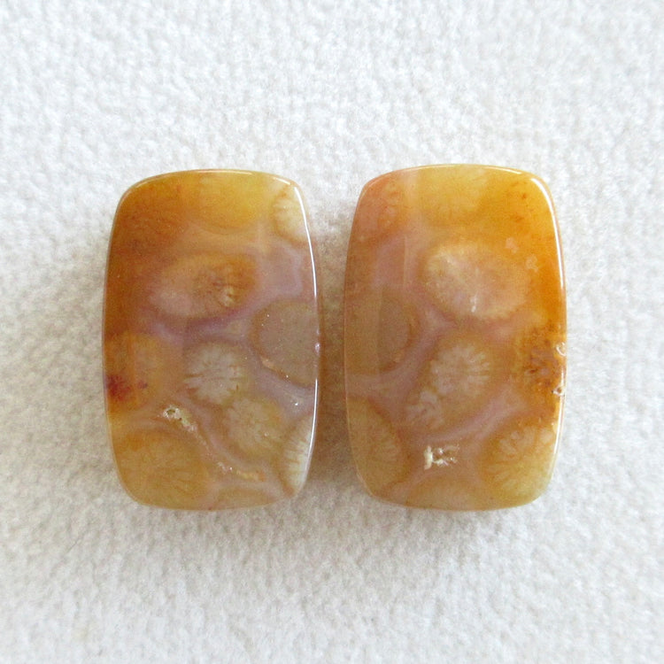 フォッシルコーラル　天然石ルースペア