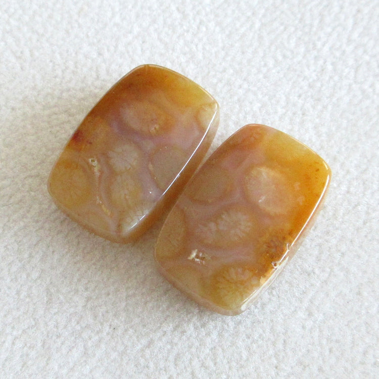 フォッシルコーラル　天然石ルースペア