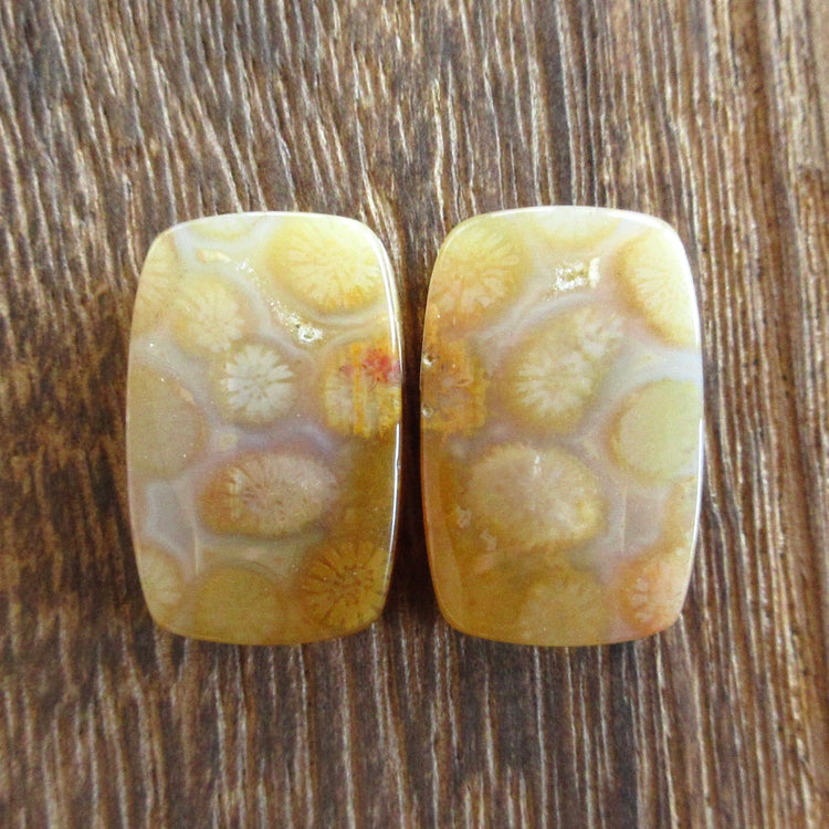 フォッシルコーラル　天然石ルースペア