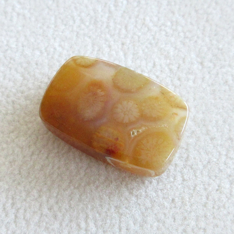 フォッシルコーラル　天然石ルースペア