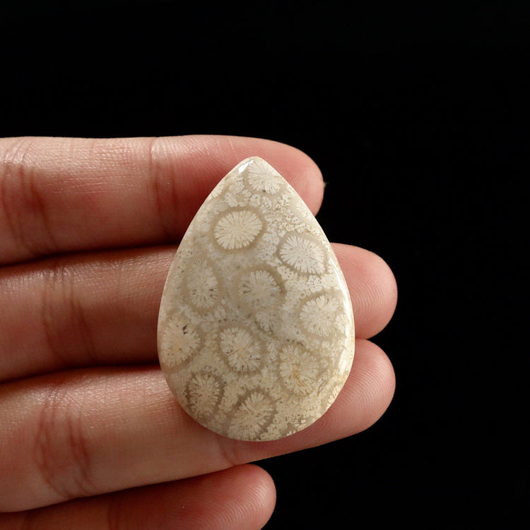 フォッシルコーラル　天然石ルース