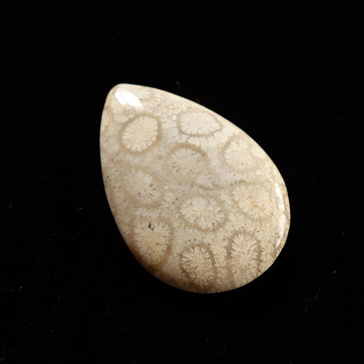 フォッシルコーラル　天然石ルース