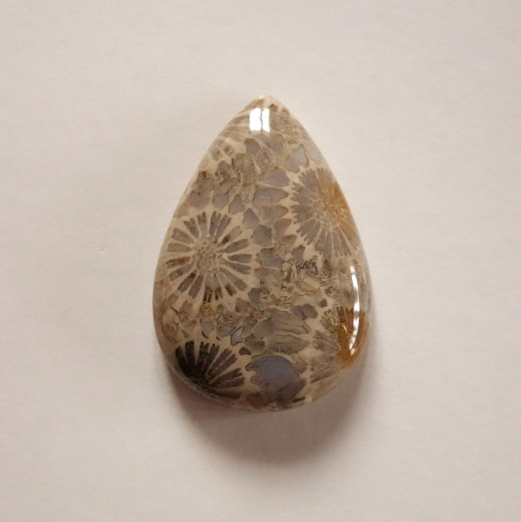 フォッシルコーラル　天然石ルース