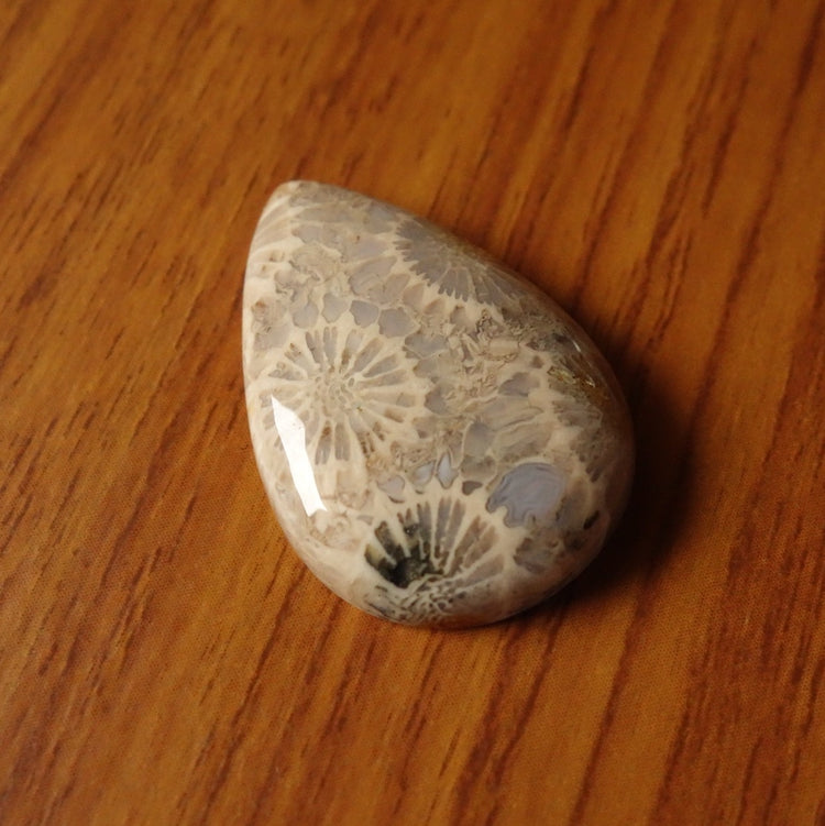 フォッシルコーラル　天然石ルース