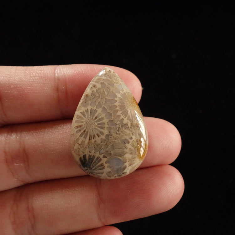 フォッシルコーラル　天然石ルース