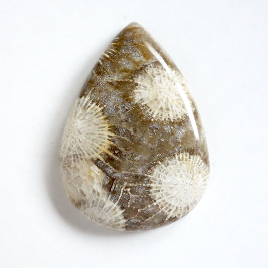 フォッシルコーラル　天然石ルース