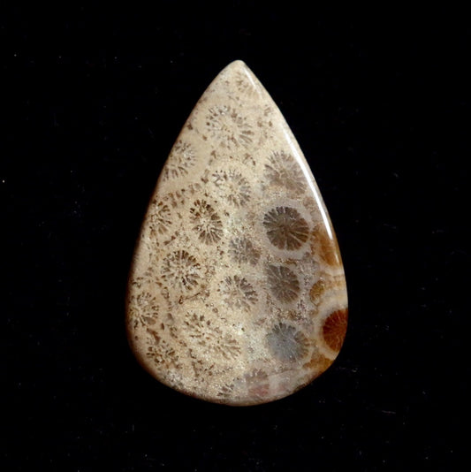 フォッシルコーラル　天然石ルース