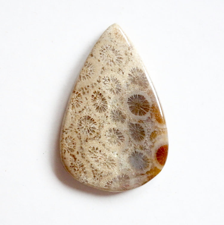 フォッシルコーラル　天然石ルース