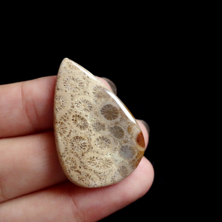 フォッシルコーラル　天然石ルース