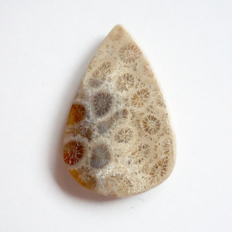 フォッシルコーラル　天然石ルース