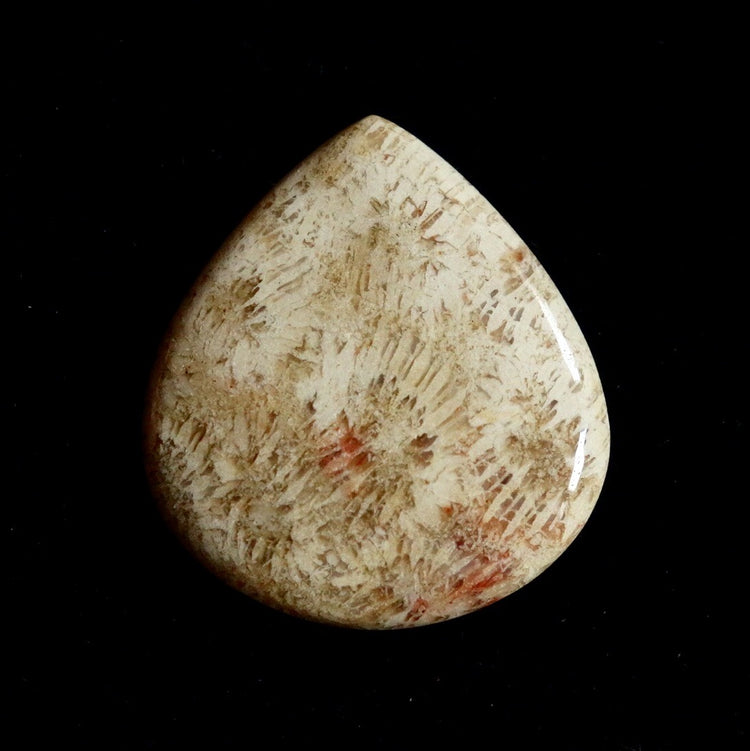 フォッシルコーラル　天然石ルース