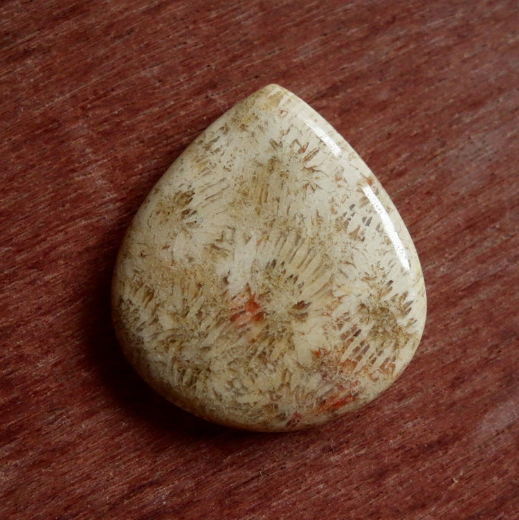 フォッシルコーラル　天然石ルース