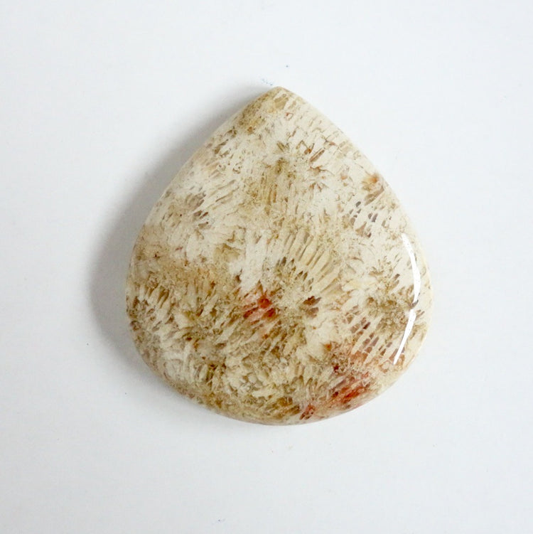 フォッシルコーラル　天然石ルース