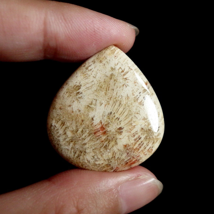 フォッシルコーラル　天然石ルース