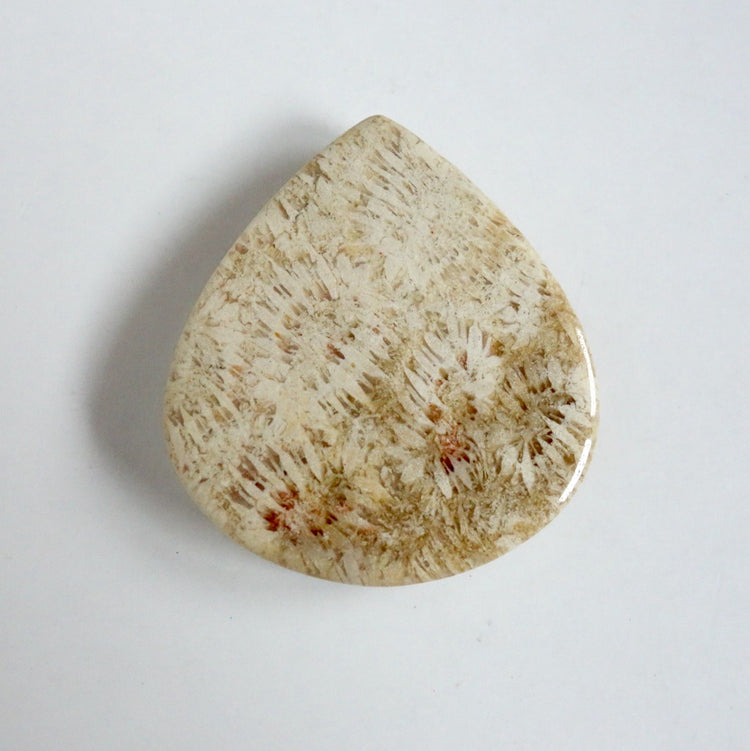 フォッシルコーラル　天然石ルース