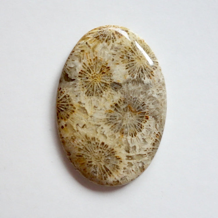 フォッシルコーラル　天然石ルース