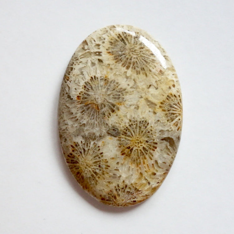 フォッシルコーラル　天然石ルース