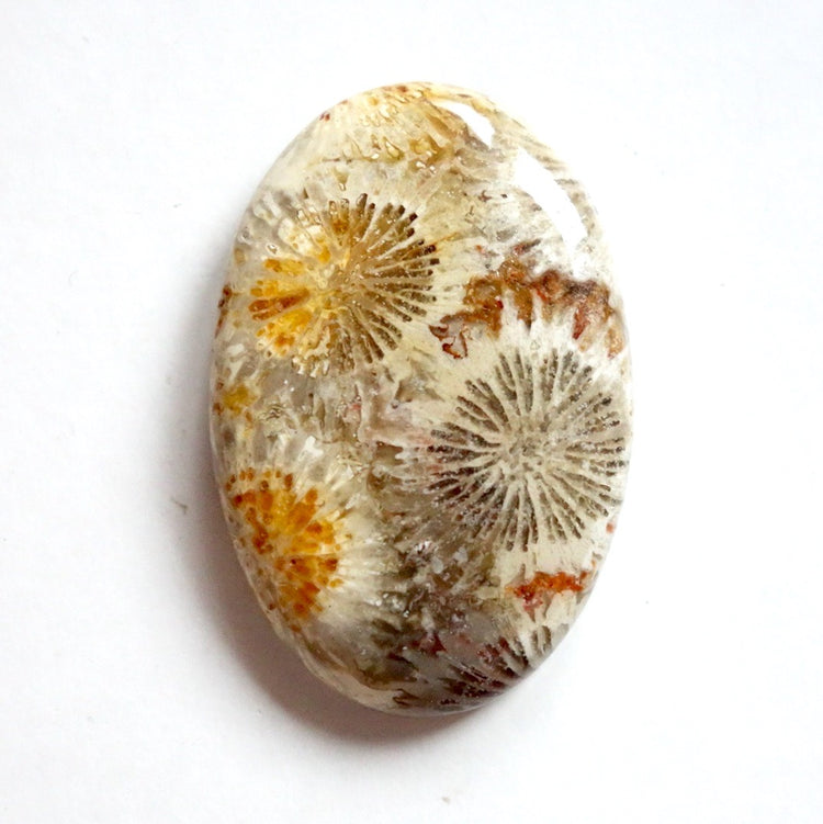 フォッシルコーラル　天然石ルース