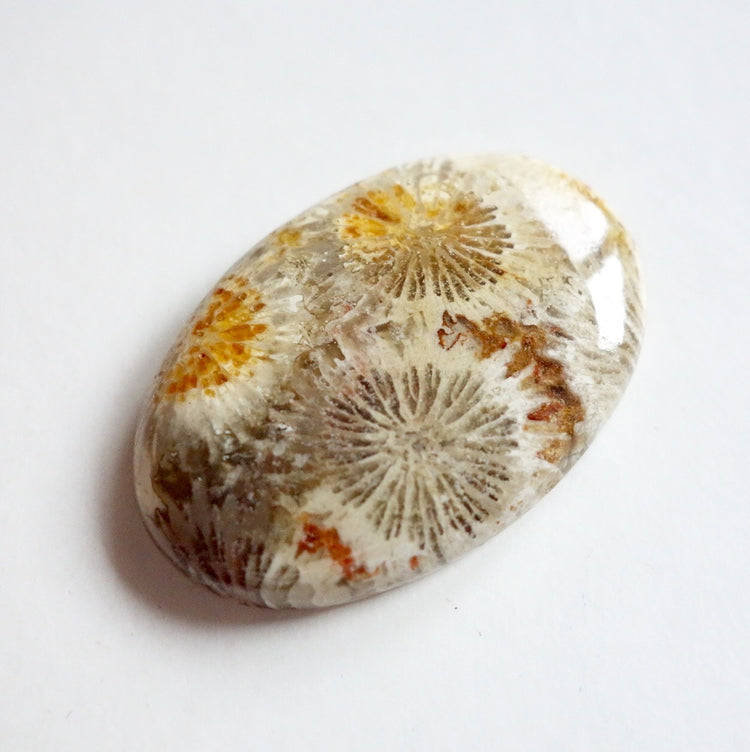 フォッシルコーラル　天然石ルース