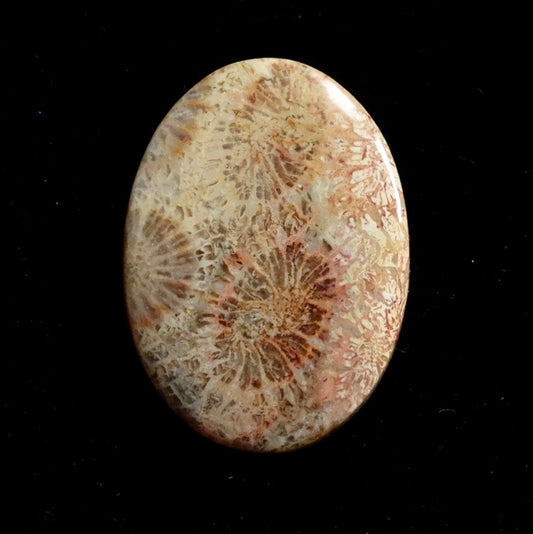 フォッシルコーラル　天然石ルース