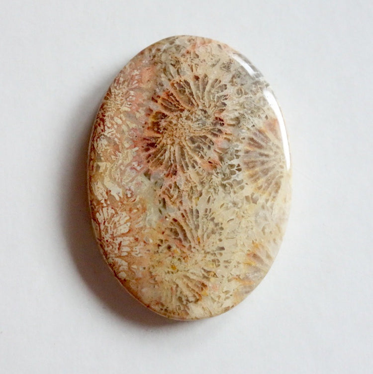 フォッシルコーラル　天然石ルース