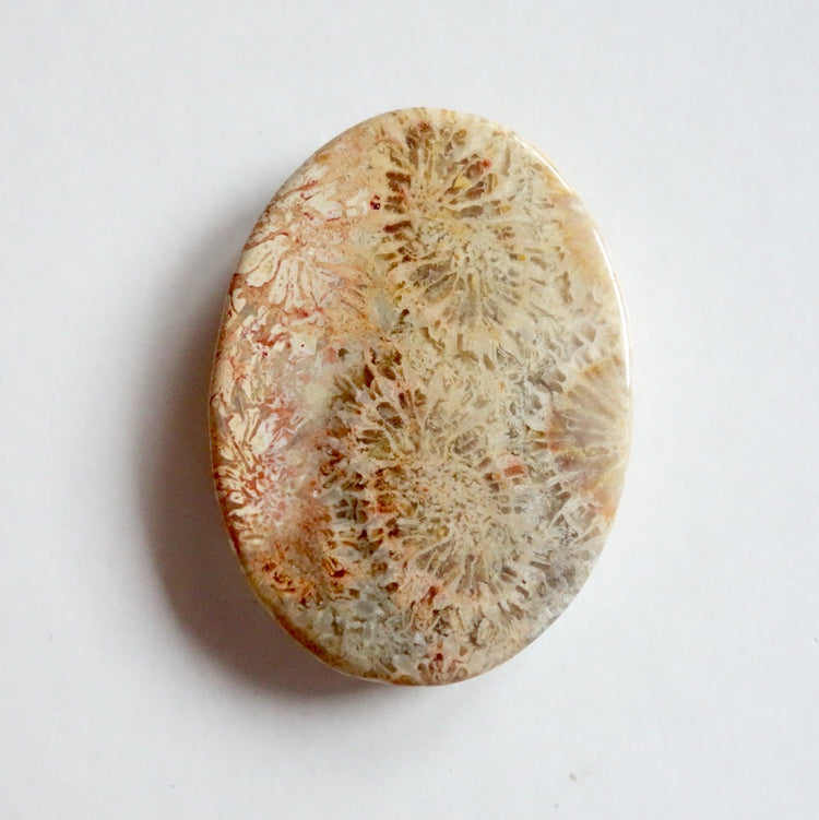 フォッシルコーラル　天然石ルース