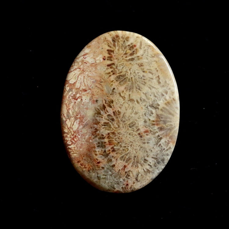 フォッシルコーラル　天然石ルース