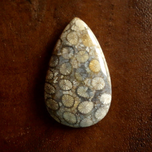 フォッシルコーラル　天然石ルース