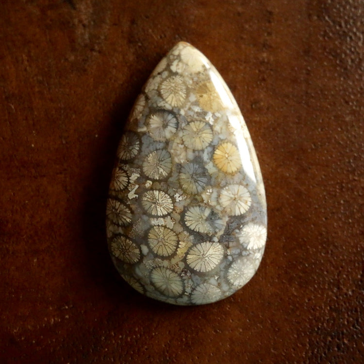 フォッシルコーラル　天然石ルース