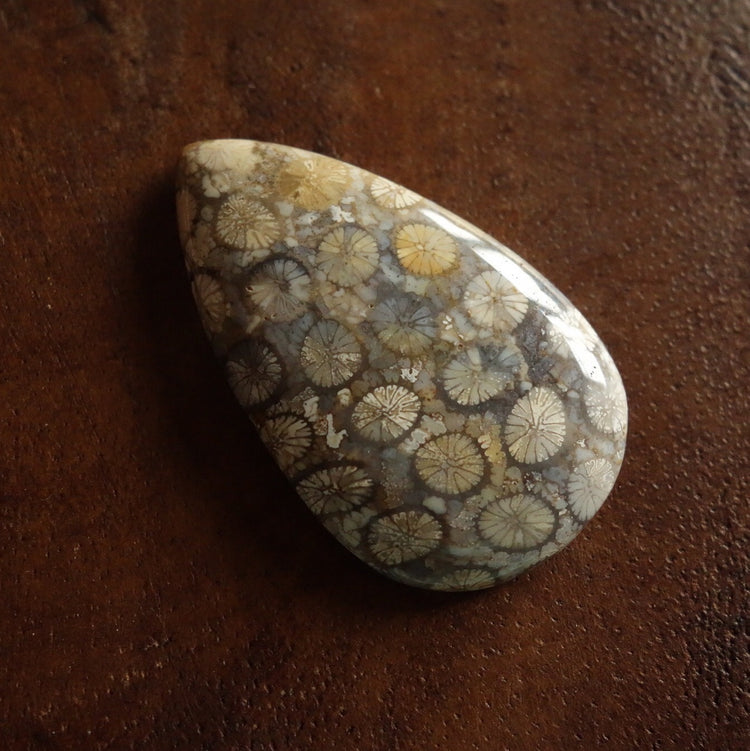 フォッシルコーラル　天然石ルース