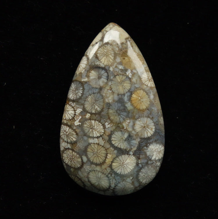 フォッシルコーラル　天然石ルース