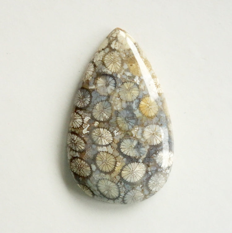 フォッシルコーラル　天然石ルース