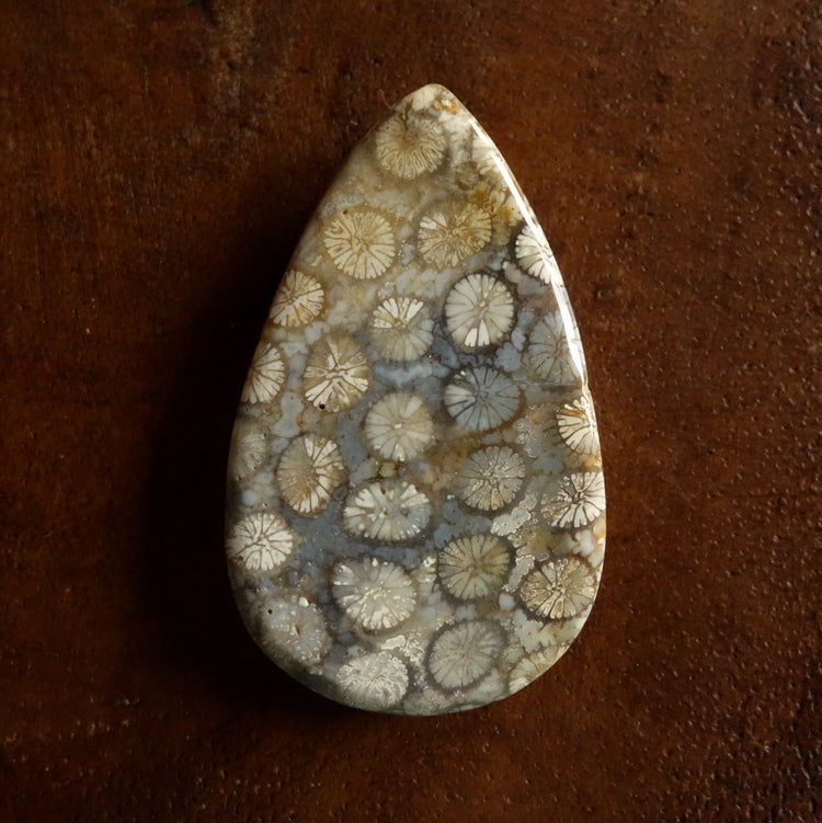 フォッシルコーラル　天然石ルース