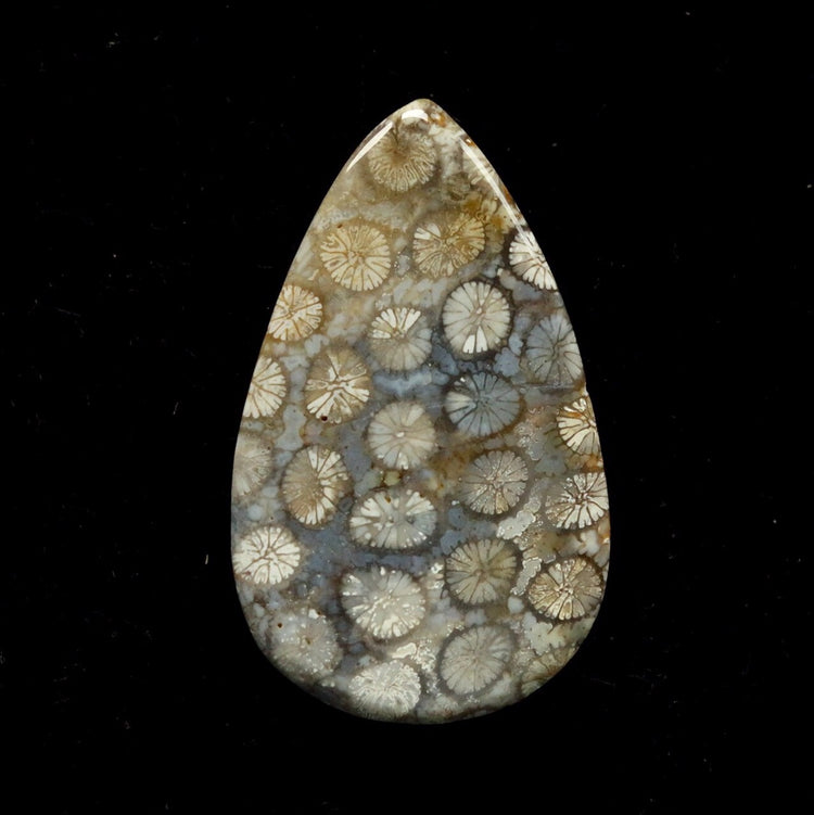 フォッシルコーラル　天然石ルース