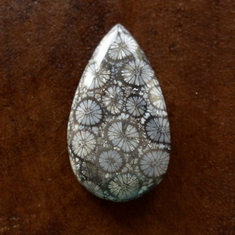 フォッシルコーラル　天然石ルース