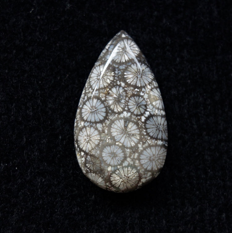 フォッシルコーラル　天然石ルース