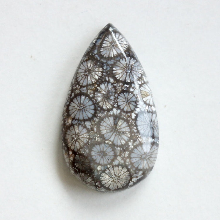 フォッシルコーラル　天然石ルース