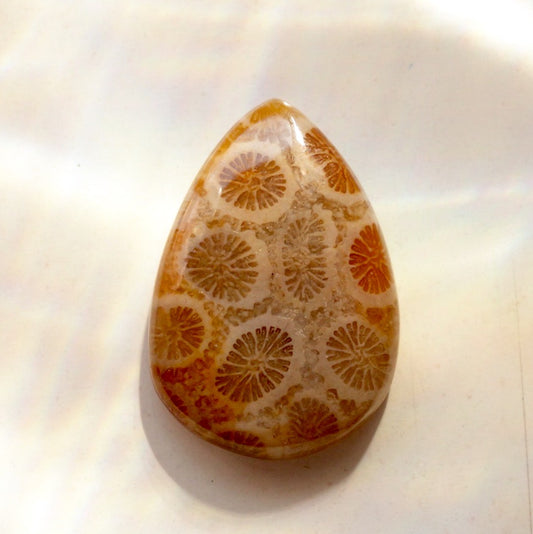 フォッシルコーラル　天然石ルース