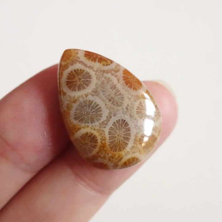 フォッシルコーラル　天然石ルース