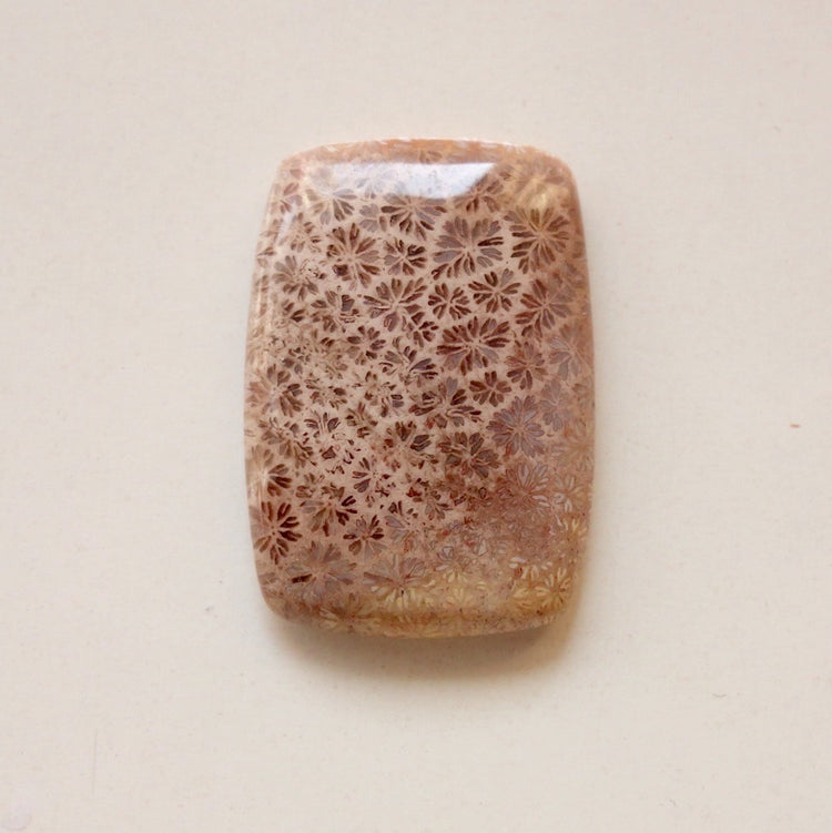 フォッシルコーラル　天然石ルース