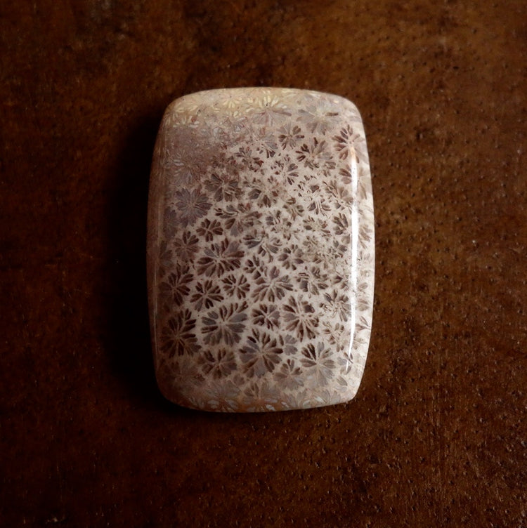 フォッシルコーラル　天然石ルース