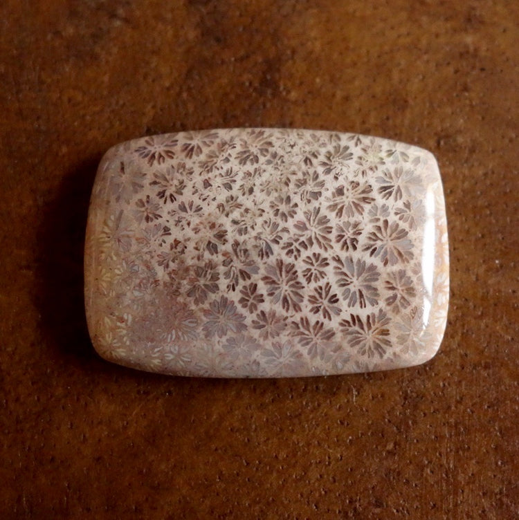 フォッシルコーラル　天然石ルース