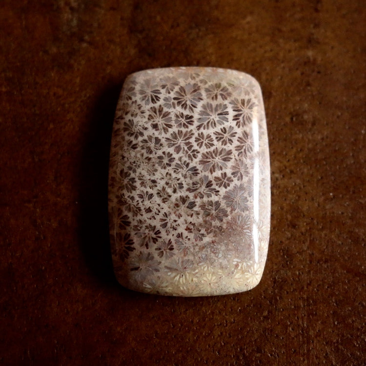 フォッシルコーラル　天然石ルース