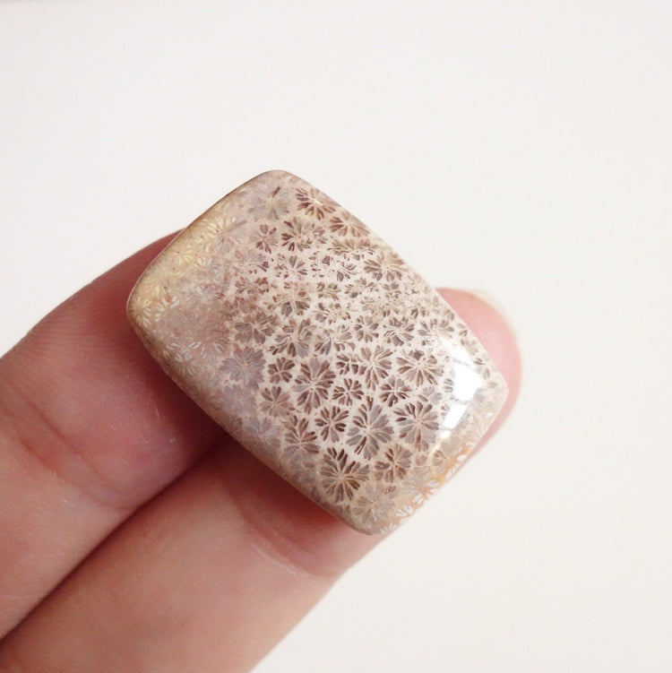 フォッシルコーラル　天然石ルース